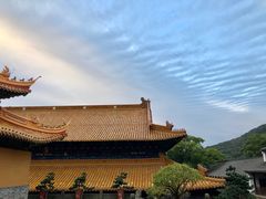 -普陀山雷迪森庄园