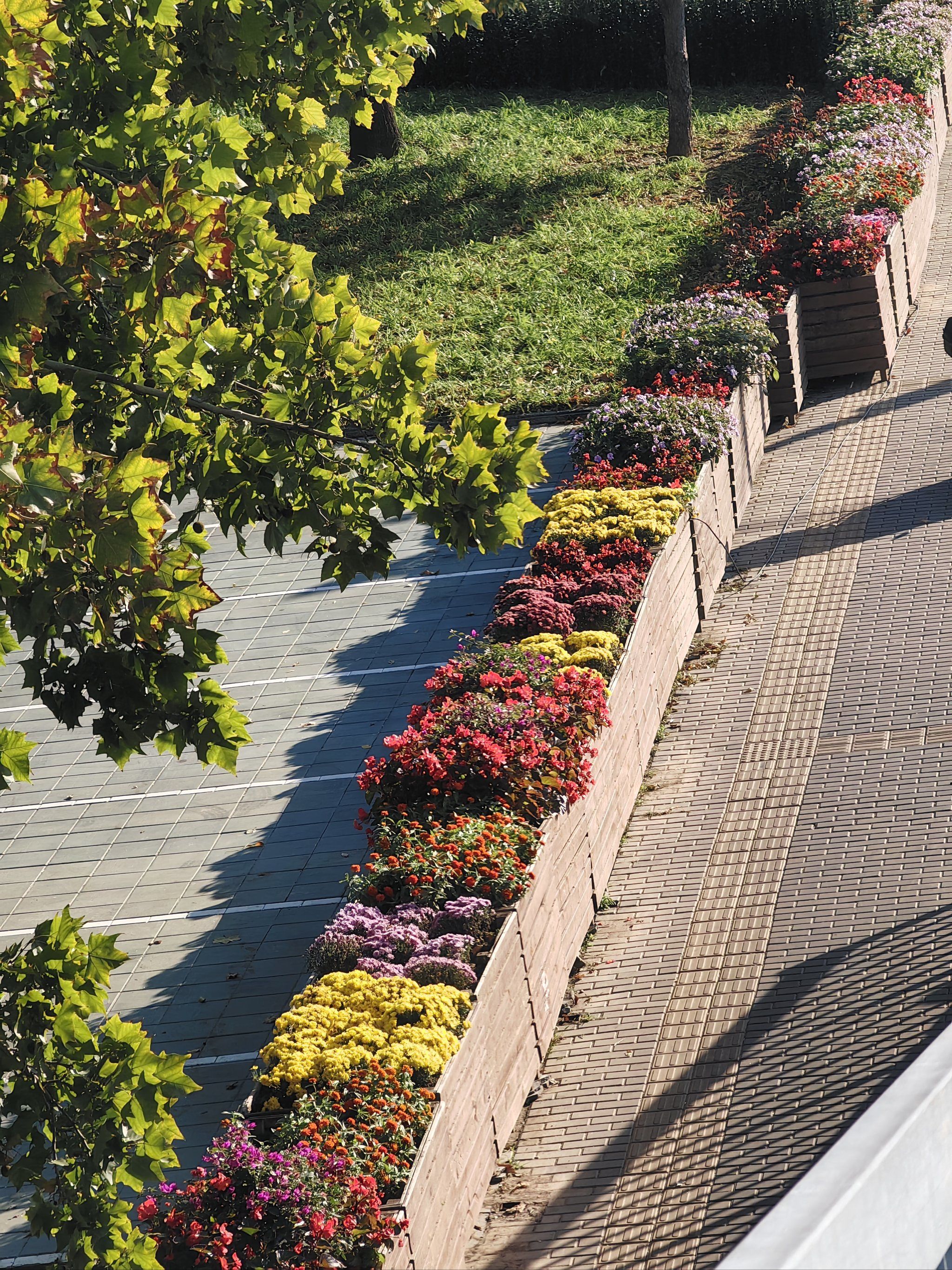 铁栅栏撤了,花墙来了