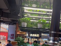 -猫爪爪原切自助烤肉(观音桥阳光世纪店)