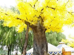 园林景观-大汗行宫园林餐厅