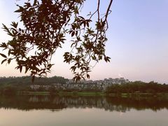 景观位-悦湖公馆