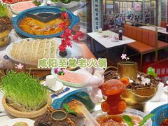 -阿瓦山寨·湘菜现炒·剁椒鱼头王(咸阳总店)