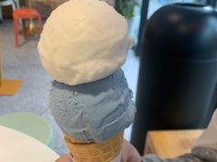 斑斓椰子-Dal Cuore 达可芮冰淇淋(陕西北路店)
