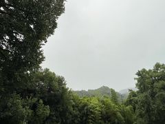 -法云安缦酒店