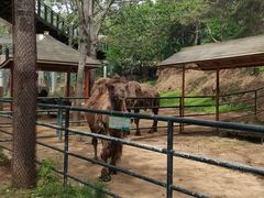 -大连森林动物园