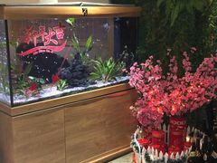 -悦和餐厅(CBD玉米楼店)