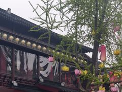 -奇芳阁·百年清真南京菜(夫子庙店)