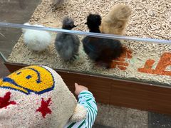 -南宫五洲植物乐园