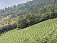 -敬亭山风景名胜区