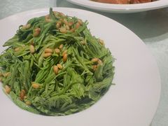 -鲁菜根·泰山菜(泰山店)
