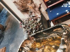 -小豆海棠(嘉兴路店)