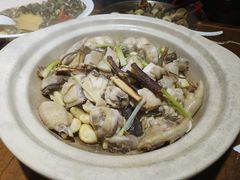 五指毛桃焗鸡-广东道至正餐厅(区庄店)