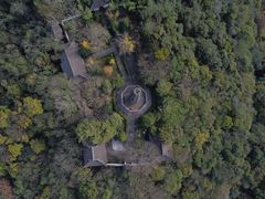 -上海佘山国家森林公园天马山园