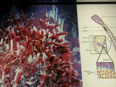 -同济大学四平路校区深海探索馆
