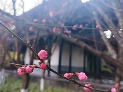 -望江楼公园
