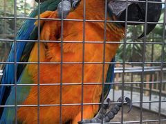 -南宫五洲植物乐园