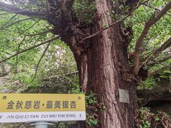 -大慈岩风景区