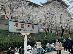 -武汉大学-樱园