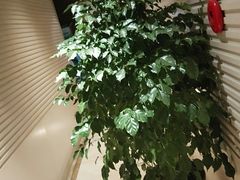 -酣庭院(红松东路店)