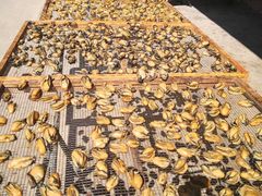 -蚝乡农庄(铁涌赤岸店)