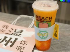 心想柿橙-雅克雅思(纱帽河店)