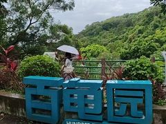 -广东惠东海龟国家级自然保护区