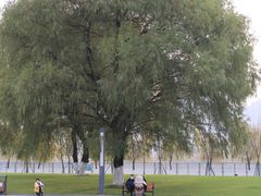 -汉江湾体育公园