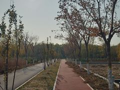 -永定河休闲森林公园