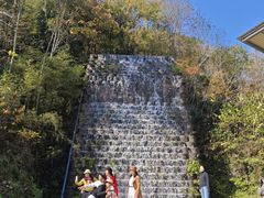 -千年银杏谷文化旅游区