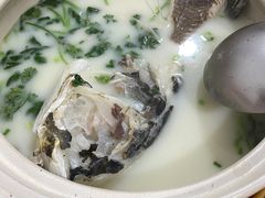-天乐农家鱼头王(天目湖店)