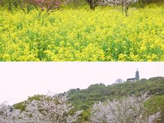 -苏州上方山国家森林公园