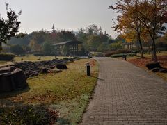 景点-白塘生态植物园