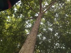-欧韵公园