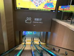 -星河寰宇IMAX影城(星河WORLD·COCO Park店)