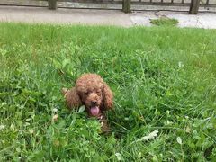 -白鹭湾湿地公园