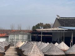 -苏州市吴中区光福窑上花果蜜饯厂