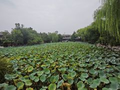 -莲池书院博物馆
