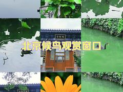 -颐和园