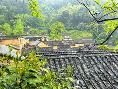 -杨家堂村