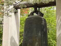 -济南大明湖景区