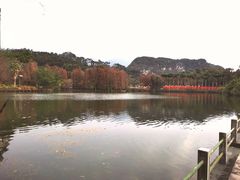 -星湖旅游景区七星岩