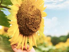 -奥林匹克森林公园北园-停车场