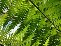 -国家植物园南园