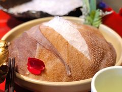 绿色毛肚-袁老四重庆老火锅(桐梓坡店)