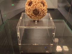 -广西壮族自治区博物馆