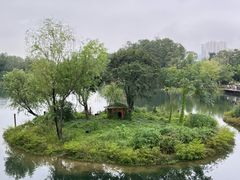 -武汉动物园