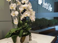-Peet's Coffee皮爷咖啡(万象天地店)