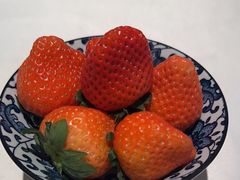 -红雀围·海鲜火锅(陆家嘴中心店)
