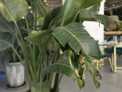 -开间茶馆·围炉煮茶