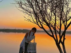 -丁香湖公园